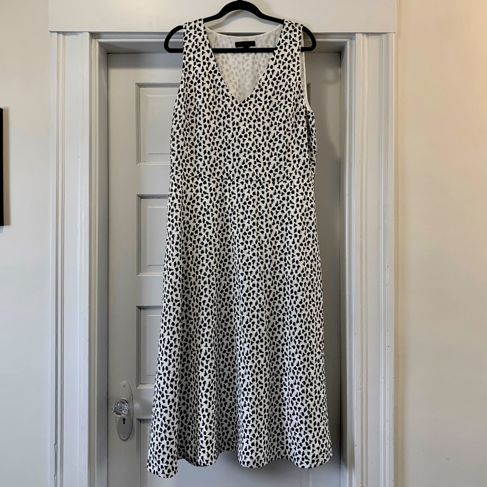 Banana Republic Summer Print Dress